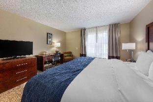 Comfort - Boston North Shore