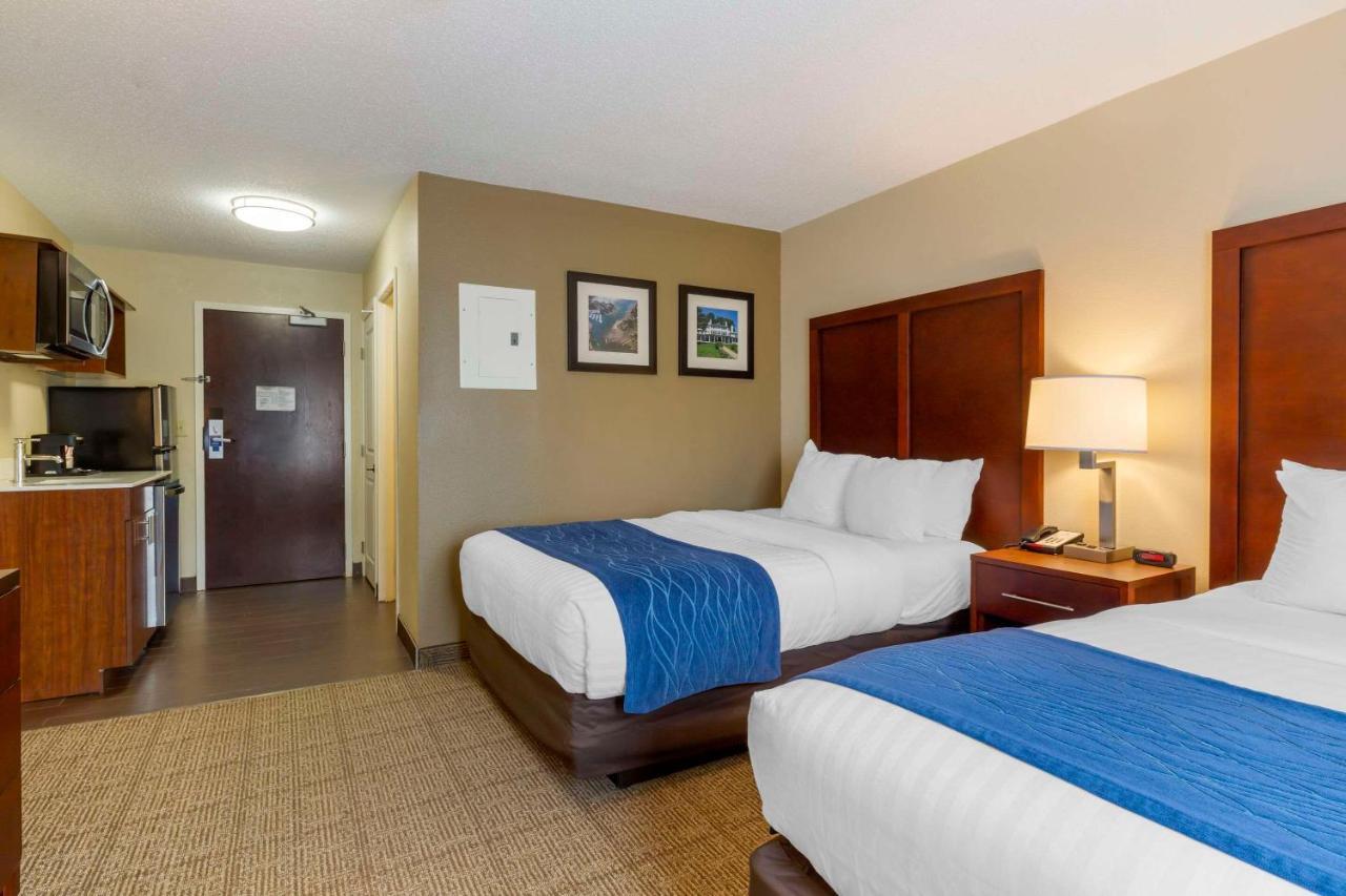 Comfort - Boston North Shore